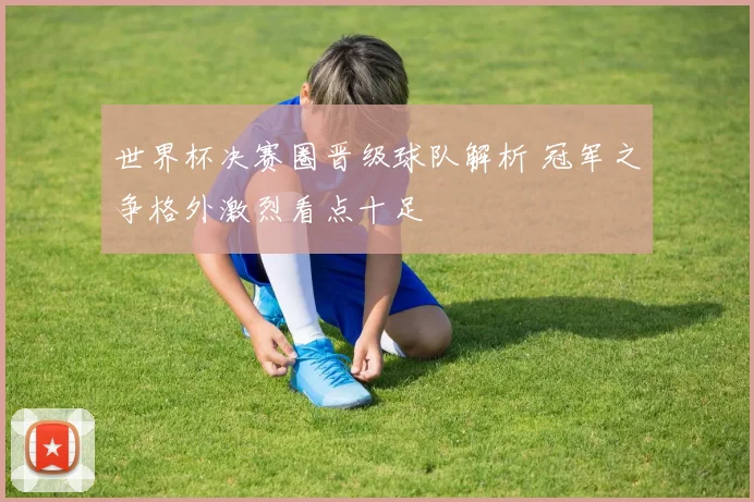 世界杯决赛圈晋级球队解析 冠军之争格外激烈看点十足