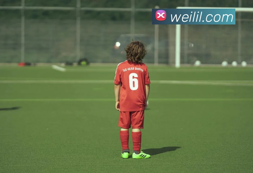 多媒体互动体验